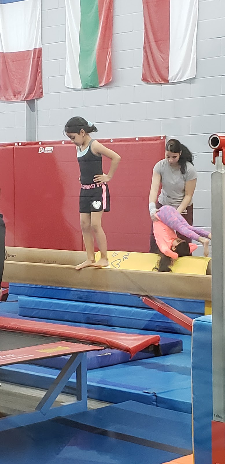 Etobicoke Gymnastics Club | 1186 Martin Grove Rd, Etobicoke, ON M9W 5M9, Canada | Phone: (416) 241-3401