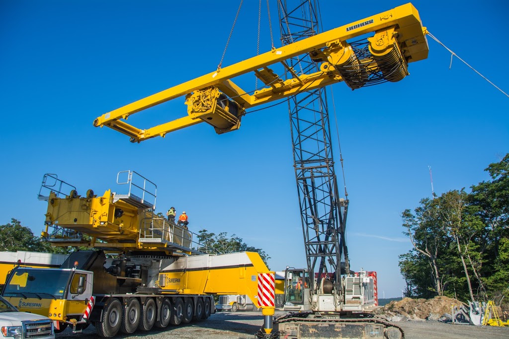 DLB Cranes Ltd | 20220 102 Ave, Langley City, BC V1M 4B4, Canada | Phone: (604) 998-1133