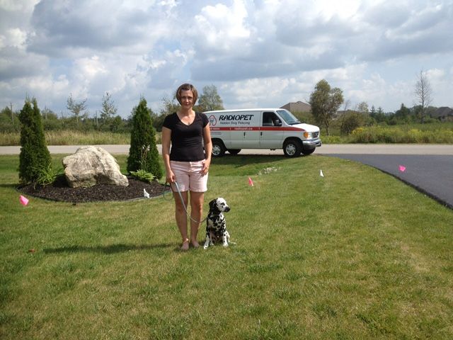 Radiopet Hidden Dog Fencing | 252 Wessenger Dr, Barrie, ON L4N 8R4, Canada | Phone: (705) 739-8885