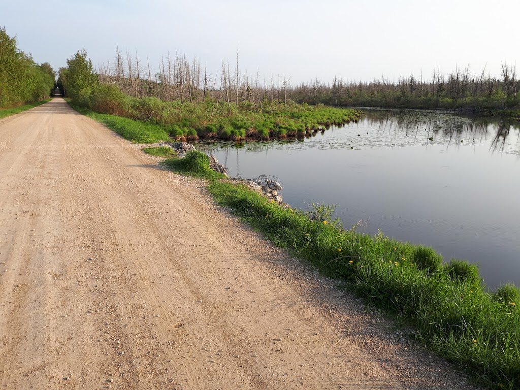 Osprey Wetlands | Badjeros, ON N0C 1A0, Canada