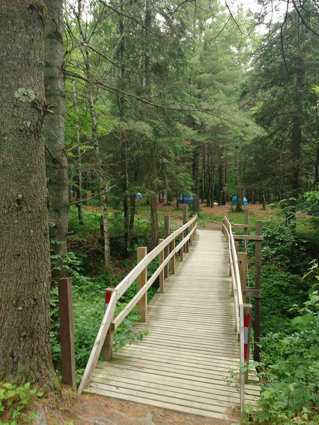 Rafting Nouveau Monde - New World Rafting | 25 Chemin Des Sept Chutes, Grenville-sur-la-Rouge, QC J0V 1B0, Canada | Phone: (800) 361-5033