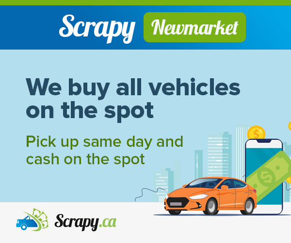 Scrapy Newmarket | 3518 Davis Dr, Cedar Valley, ON L0G 1E0, Canada | Phone: (905) 952-1822