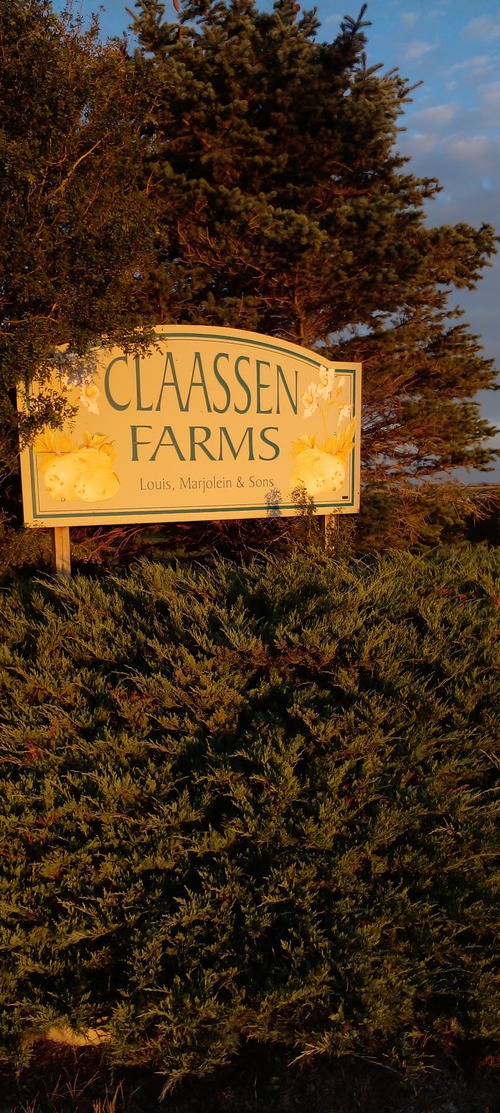 Claassen Farms | Taber, AB T0J 2Z0, Canada | Phone: (403) 635-1721