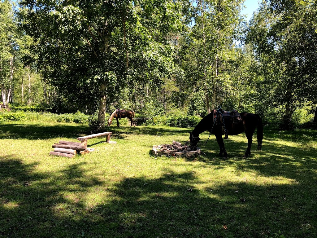 High Country Trail Rides | 1091 60 St NW, Salmon Arm, BC V1E 3B2, Canada | Phone: (250) 515-0667