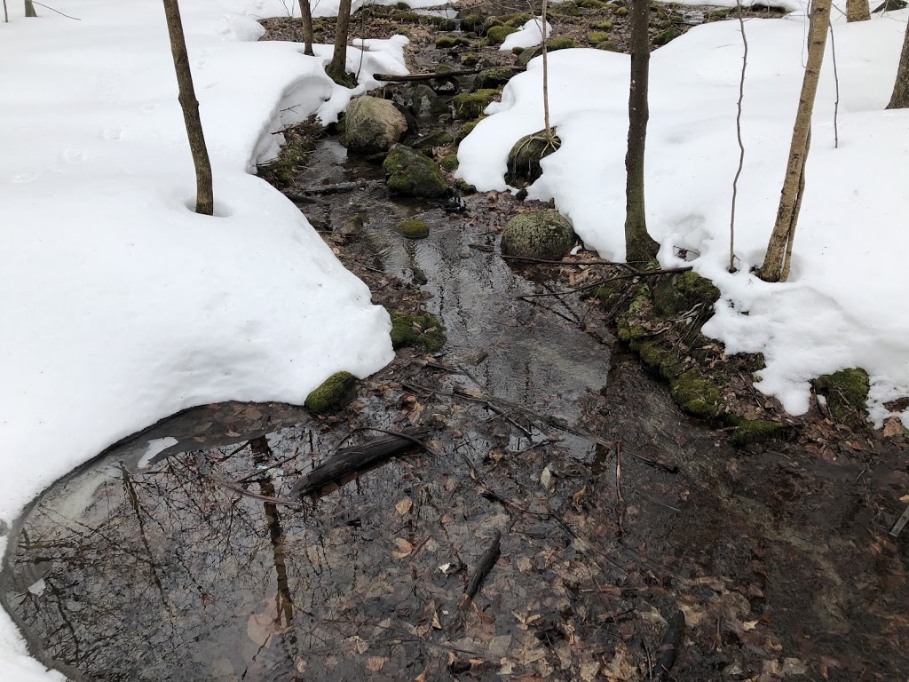 Refuge doiseaux de Mont-Saint-Hilaire | Gault Nature Reserve, 422 Chemin des Moulins, Mont-Saint-Hilaire, QC J3G 4S6, Canada | Phone: (450) 467-4010