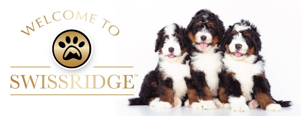 swissridge kennels | 16195 12th Concession, Schomberg, ON L0G 1T0, Canada | Phone: (289) 608-8164