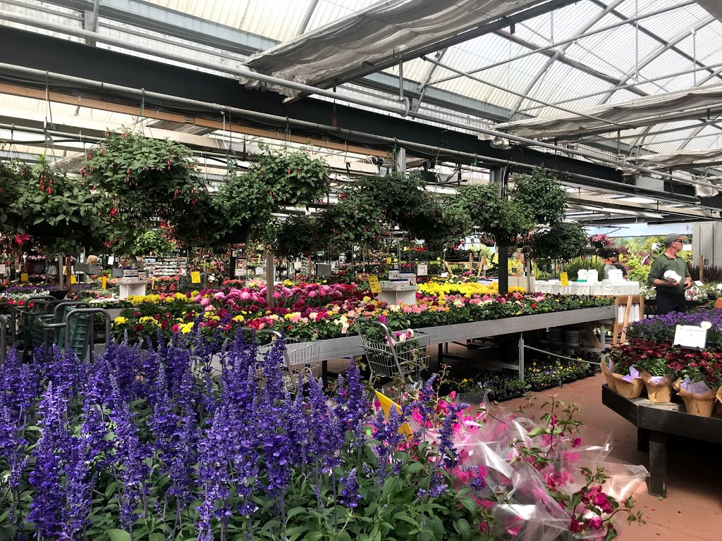 Triple Tree Nurseryland | 20503 Lougheed Hwy, Maple Ridge, BC V2X 2P9, Canada | Phone: (604) 465-9313