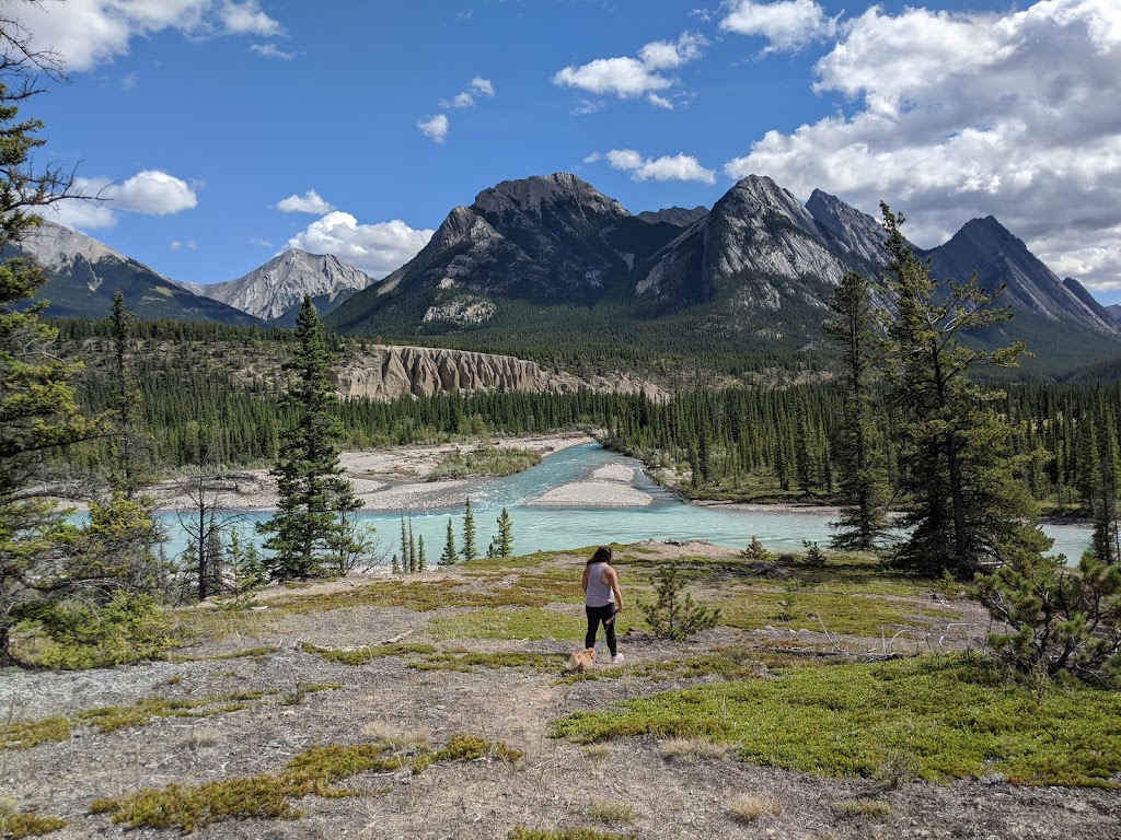 Kootenay Plains Ecological Reserve | Clearwater County, AB, Canada | Phone: (403) 845-8349