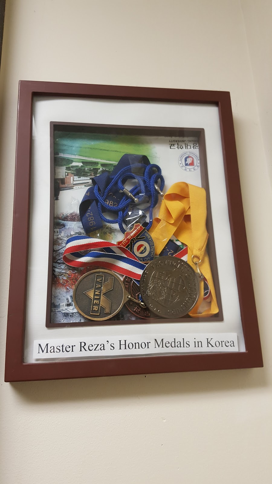 Master Reza Taekwondo Academy | 10288 Yonge St, Richmond Hill, ON L4C 2B8, Canada | Phone: (905) 918-1000