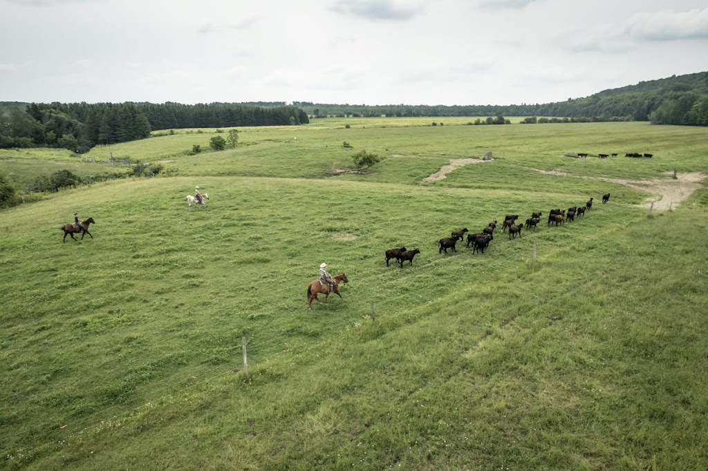 Ranch des sabots et des ailes | 800 Chem. de la Station, Saint-Boniface, QC G0X 2L0, Canada | Phone: (819) 698-9863