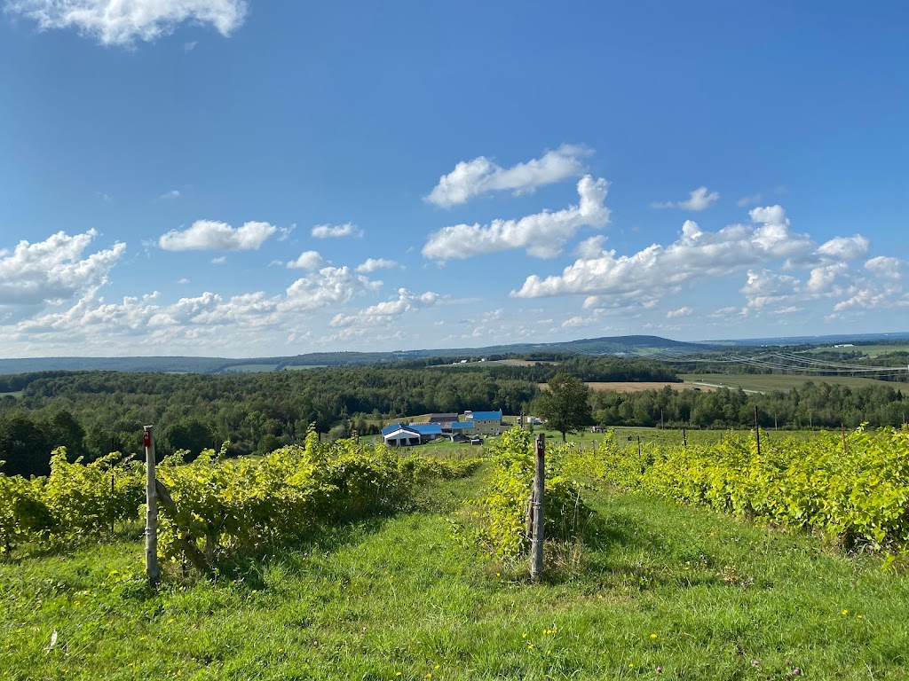 Vignoble la vallée des Nuages | 35 Chem. Gallup, Danville, QC J0A 1A0, Canada | Phone: (819) 839-3585