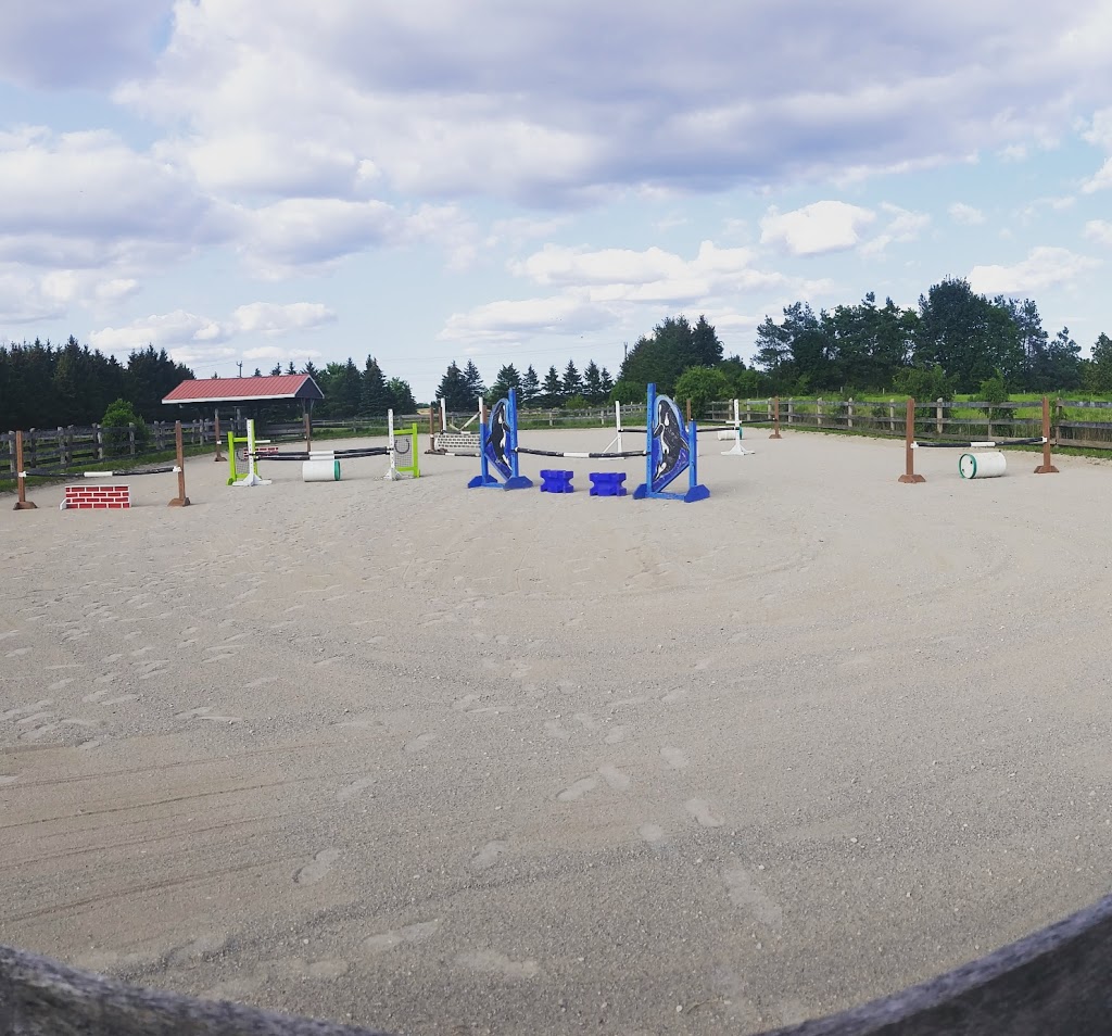 Reymwood Equestrian | Guelph, ON N1H 6J3, Canada