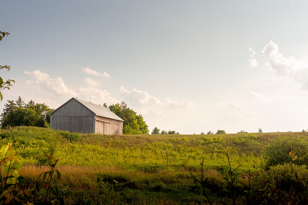 The Hummingbird Barn Venue | 5035 Wellington 125, Erin, ON L7J 2L9, Canada | Phone: (289) 349-1144