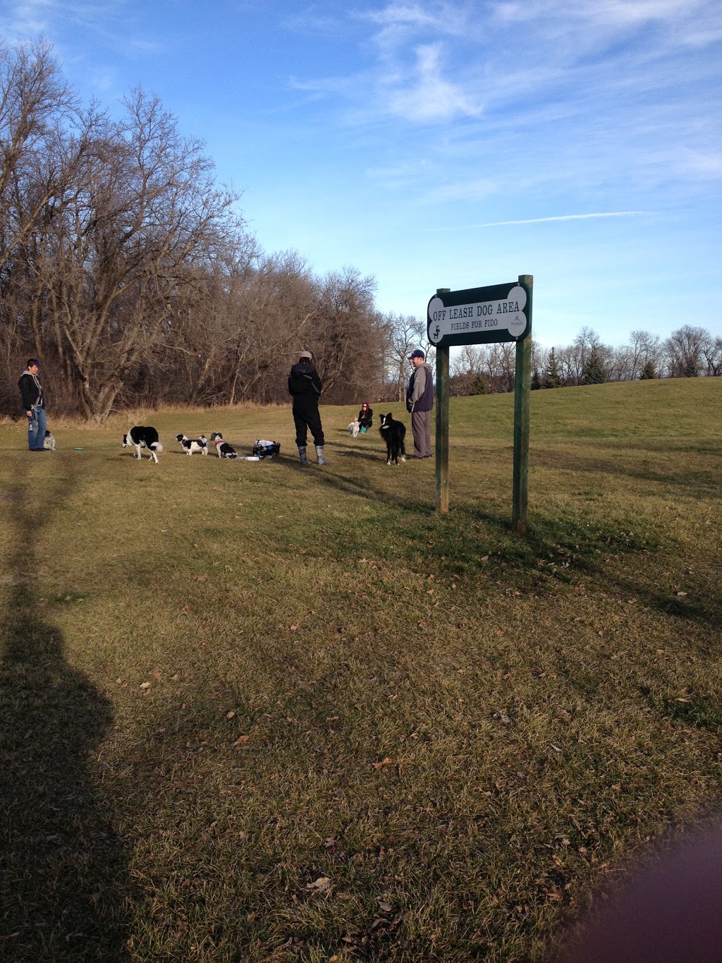 Kings Park Off-leash dog park | 198 Kings Dr, Winnipeg, MB R3T, Canada | Phone: (877) 311-4974