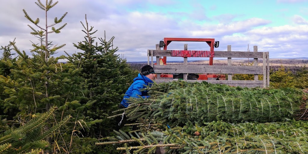 Les Plantations JonAlex | 1200 Rue de lEtna, Québec, QC G3K 0A2, Canada | Phone: (418) 880-0173