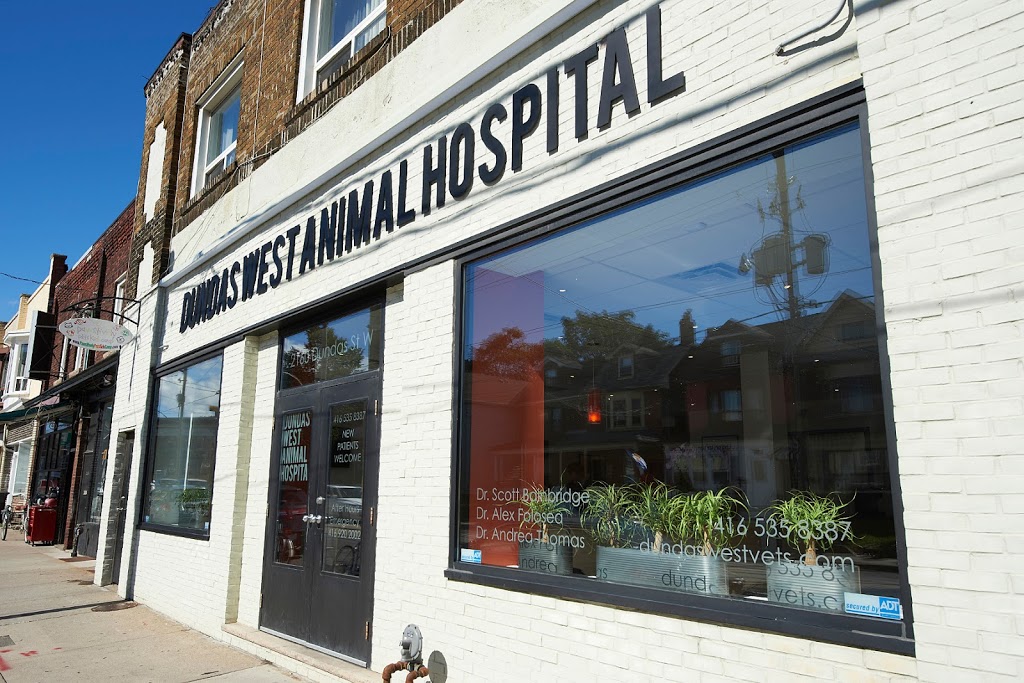 Dundas West Animal Hospital | 2160 Dundas St W, Toronto, ON M6R 1X3, Canada | Phone: (416) 535-8387