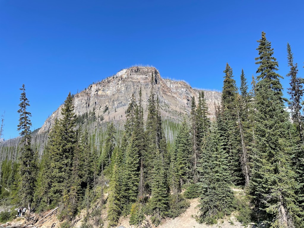 Marble Canyon Trailhead | G Marble Canyon, East Kootenay, BC V0A 1M0, Canada | Phone: (250) 347-9505