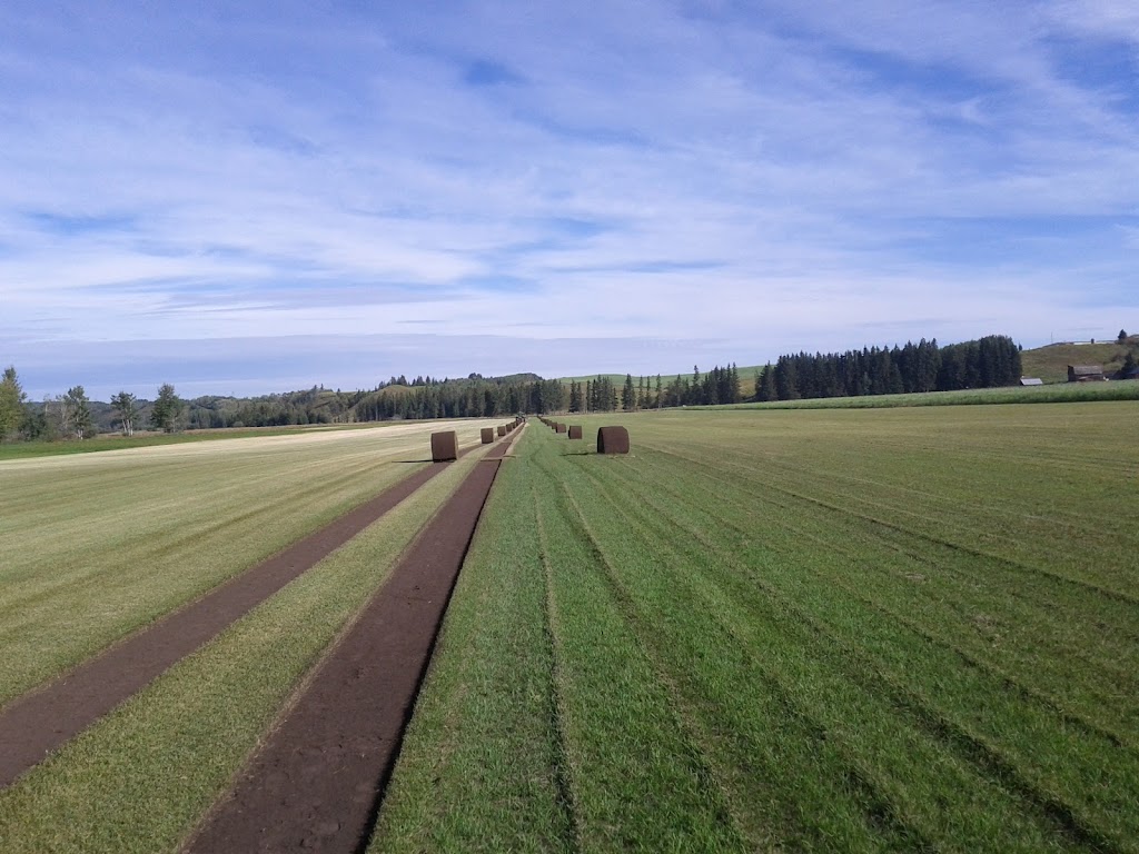 Spruce Grove Sod | 53207 Range Rd 273, Spruce Grove, AB T7X 3N3, Canada | Phone: (780) 217-3797