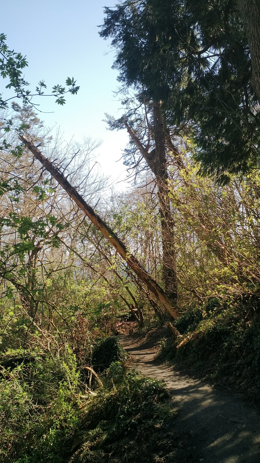 Lily Point Marine Reserve | Point Roberts, WA 98281, USA