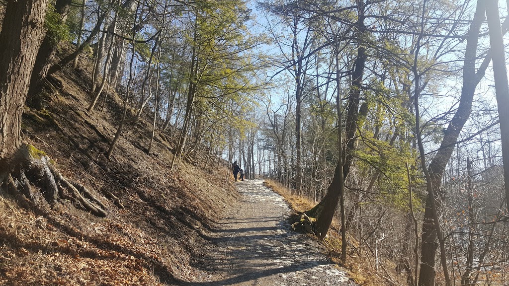 Sanctuary Park | Dundas, Hamilton, ON L9H, Canada