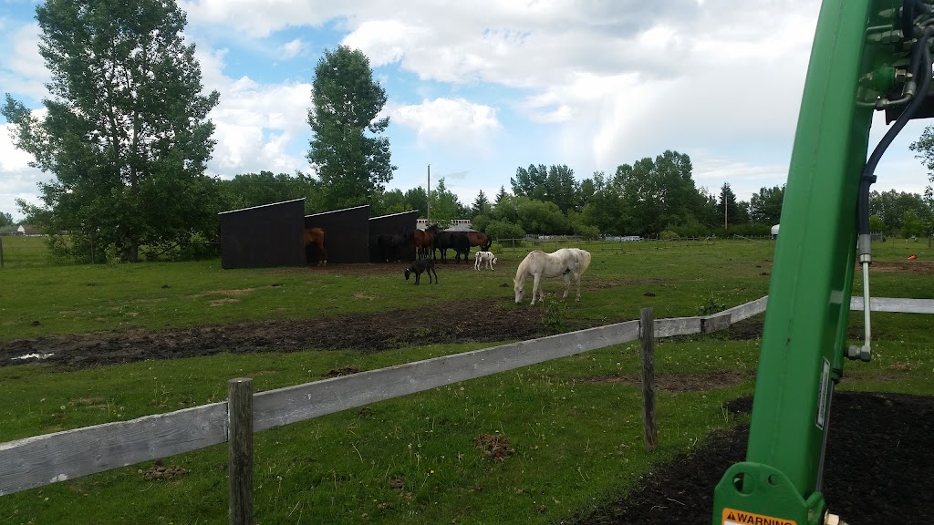 Westridge Farms Walking Horses | RR 8 LCD 8, Calgary, AB T2J 2T9, Canada | Phone: (403) 931-3160