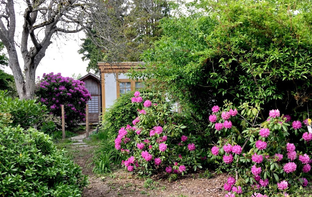 Boxwood Cottages and Gardens | 4310 and, 4316 Westview Ave, Powell River, BC V8A 3J6, Canada | Phone: (604) 485-2860