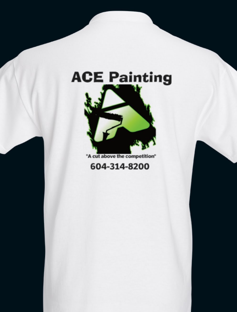 ACE Painting | Maple Ridge, BC V2X 9P5, Canada | Phone: (604) 314-8200