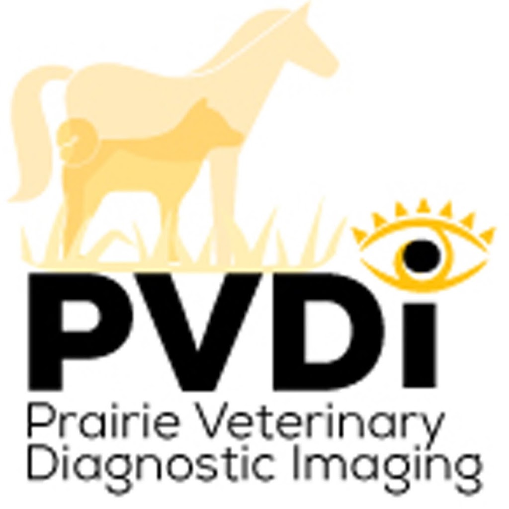 Prairie Veterinary Diagnostic Imaging | E, 411 Herold Ct, Saskatoon, SK S7V 0A7, Canada | Phone: (306) 242-9994
