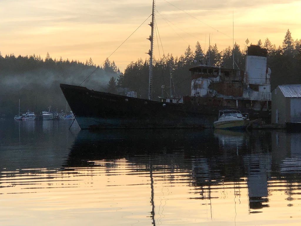 Slo Cat Pender Harbour Tours | 12967 Madeira Park Rd, Madeira Park, BC V0N 2H0, Canada | Phone: (604) 741-3796