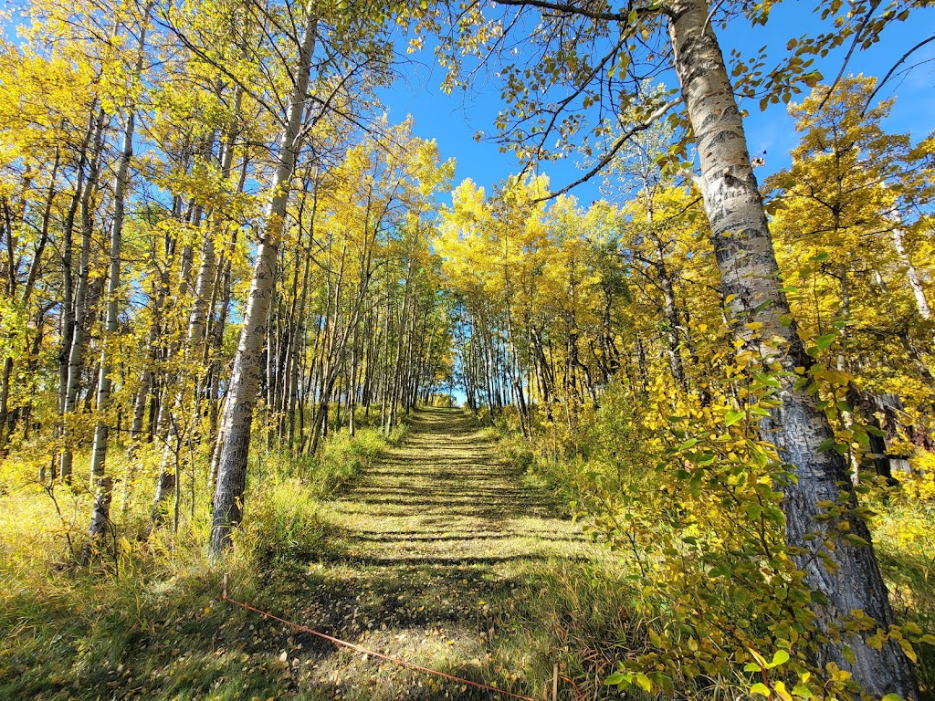 WJ Homestead Disc Golf | 258002 192 St W #10, Alberta T1S 2V3, Canada | Phone: (587) 434-7878