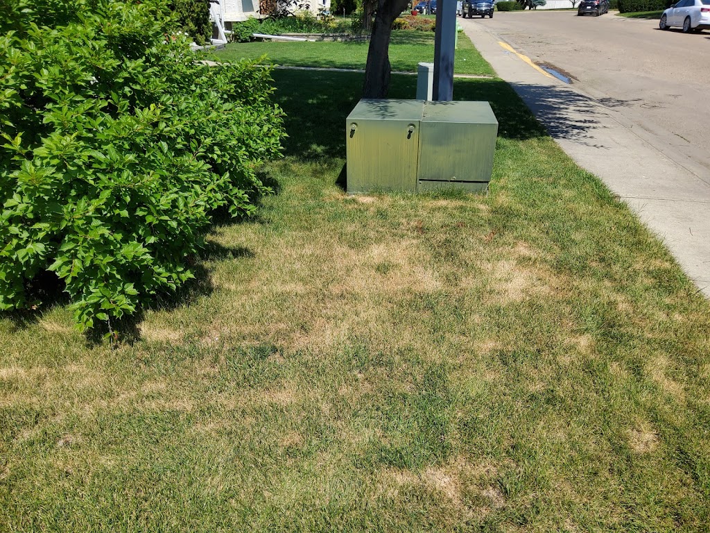 Green Drop Lawns Ltd. | 6660 Taylor Dr., Red Deer, AB T4P 1A3, Canada | Phone: (877) 647-3366