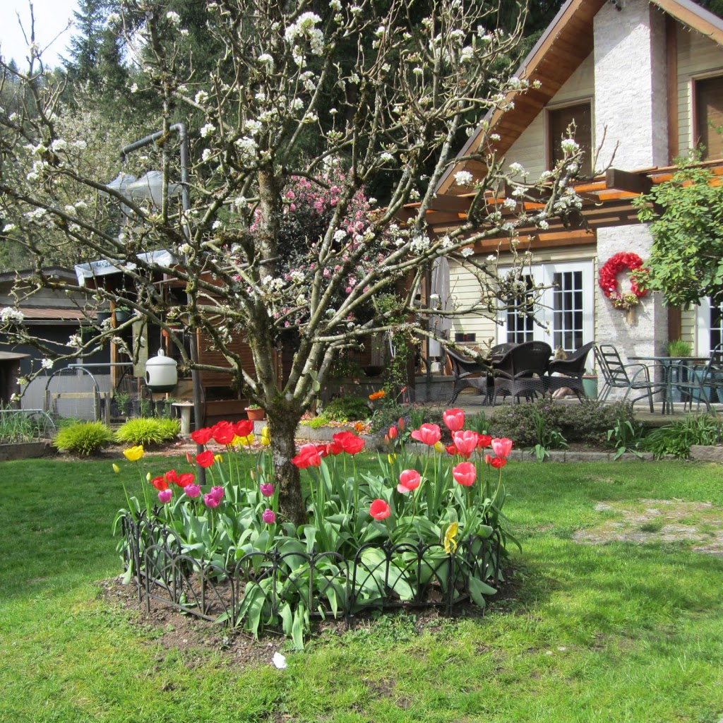 Lake Errock B&B | box 145, 43785 Ryall Rd, Lake Errock, BC V0M 1N0, Canada | Phone: (604) 826-9395