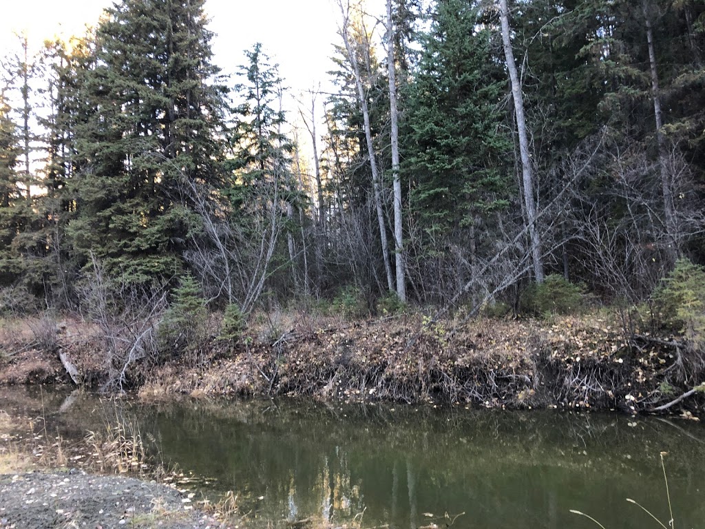 Creek-Lands Foot Trails | Township Rd 502A, Thorsby, AB T0C 2P0, Canada