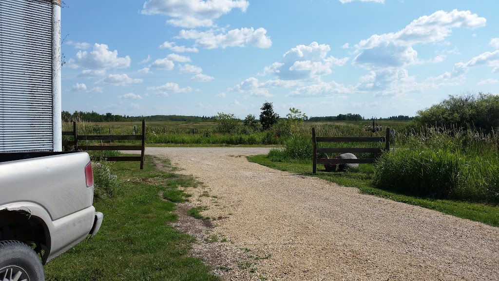 Leather Transport | Armstrong, MB R0C 1Z0, Canada | Phone: (204) 955-9303