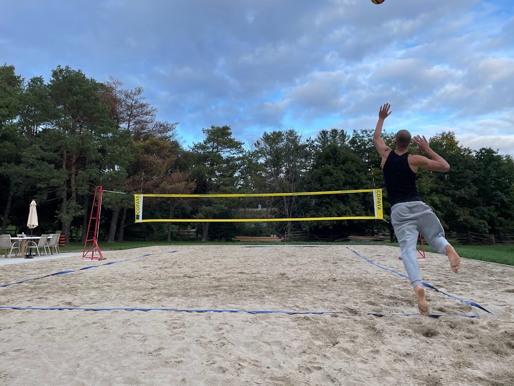 Son of a Beach Volleyball | 2165 17th Side Rd, King City, ON L7B 1K5, Canada | Phone: (416) 275-2864