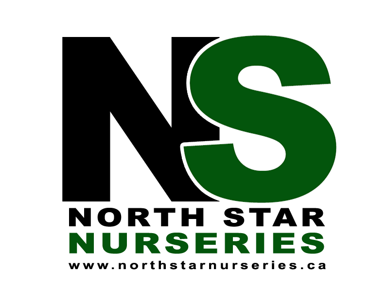 North Star Nurseries | 1838 Bradner Rd, Abbotsford, BC V4X 1H8, Canada | Phone: (604) 856-9766