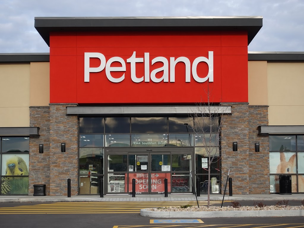 Petland Fort Saskatchewan | 9344 Southfort Dr, Fort Saskatchewan, AB T8L 0C5, Canada | Phone: (587) 285-4586