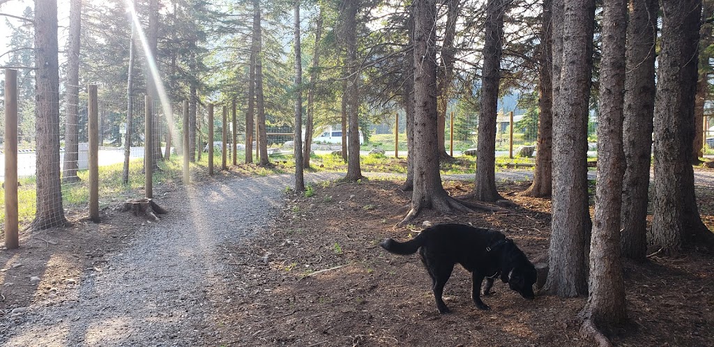 Banff Off-Leash Dog Park | Hawk Ave, Banff, AB T1L, Canada | Phone: (403) 762-1240