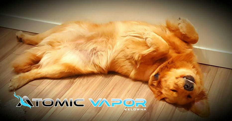 Atomic Vapor Kelowna | 2009 Enterprise Way D, Kelowna, BC V1Y 8G6, Canada | Phone: (778) 478-7505