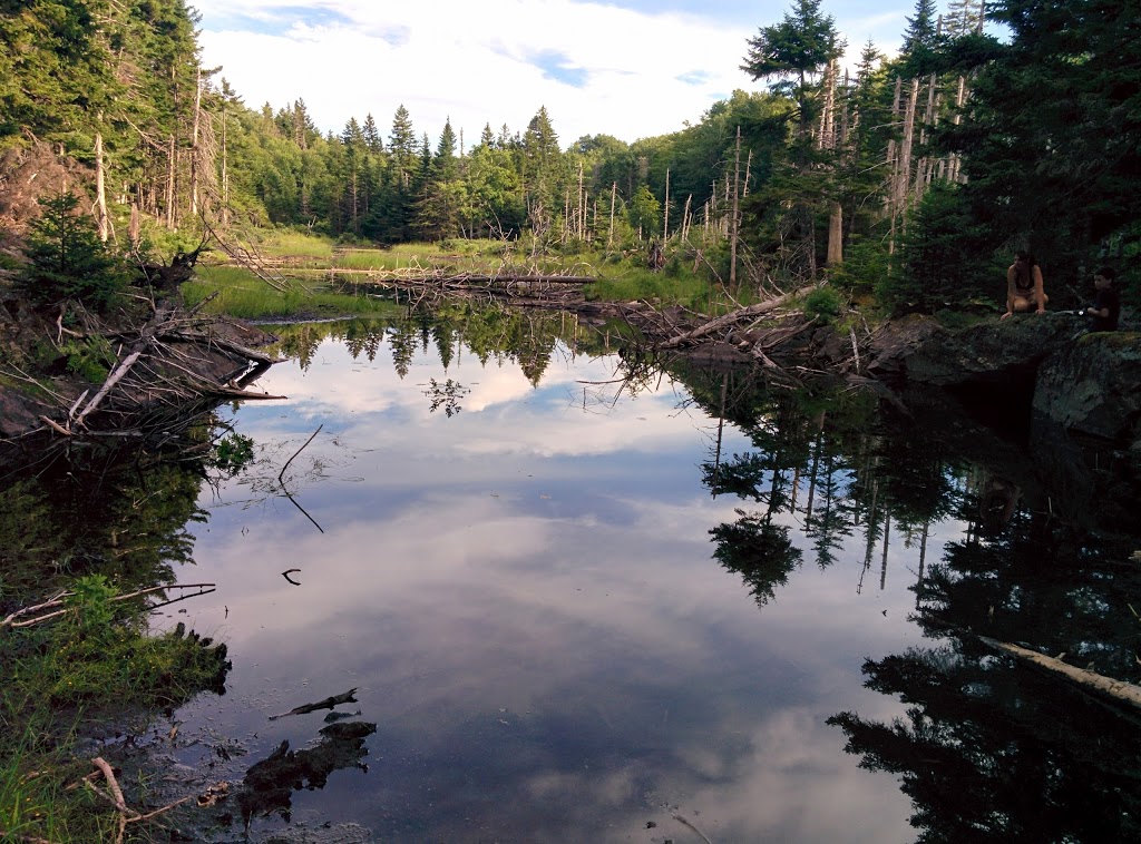 Economy River Wilderness Area | Economy, NS B0M 1J0, Canada | Phone: (902) 424-3600