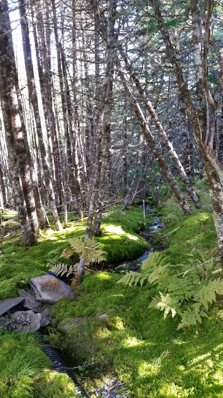 Father Duffys Well | 312 Salmonier Line, Brigus Junction, NL A0B 1G0, Canada