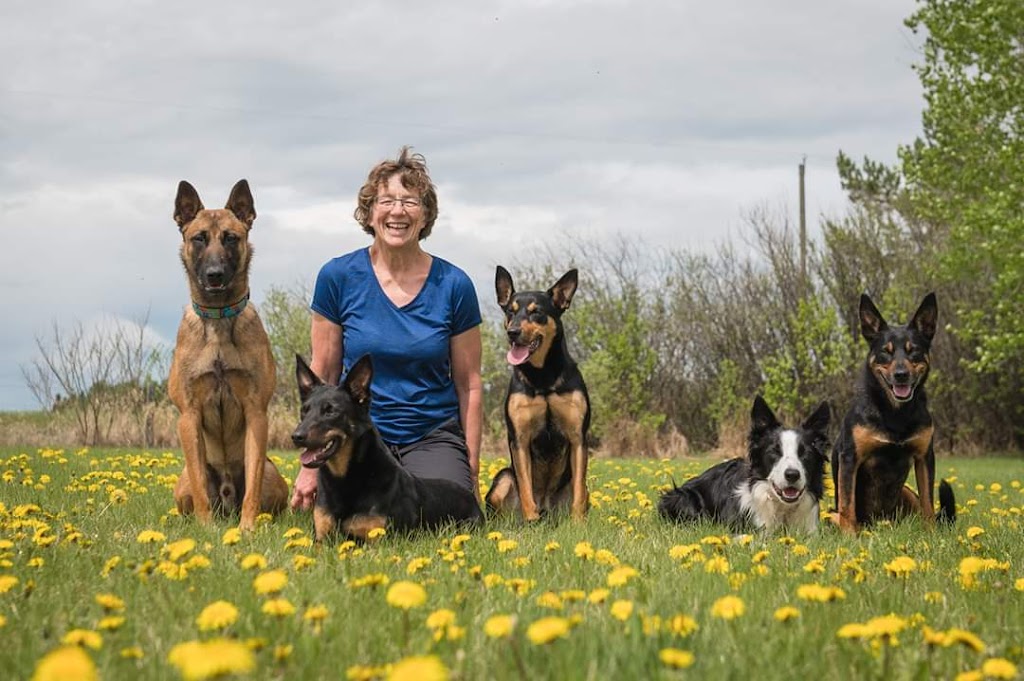 Fionavar K9 Training | Mountain View County, AB T0M 0K0, Canada | Phone: (403) 507-9832