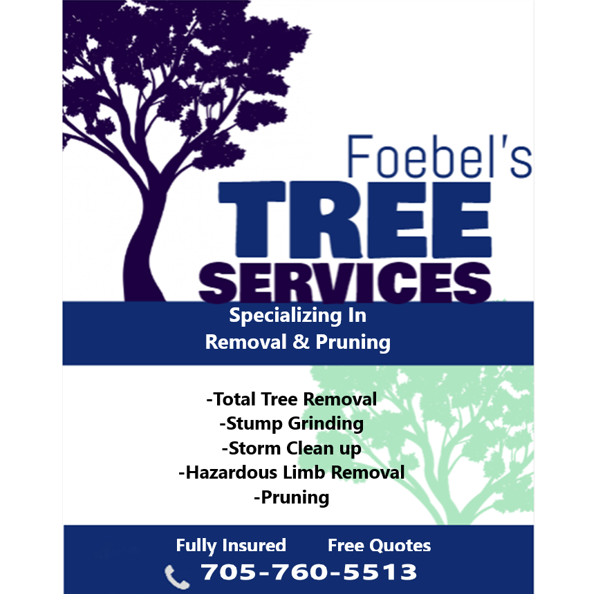Foebels Tree Services | County Rd 4, Warsaw, ON K0L 3A0, Canada | Phone: (705) 760-5513