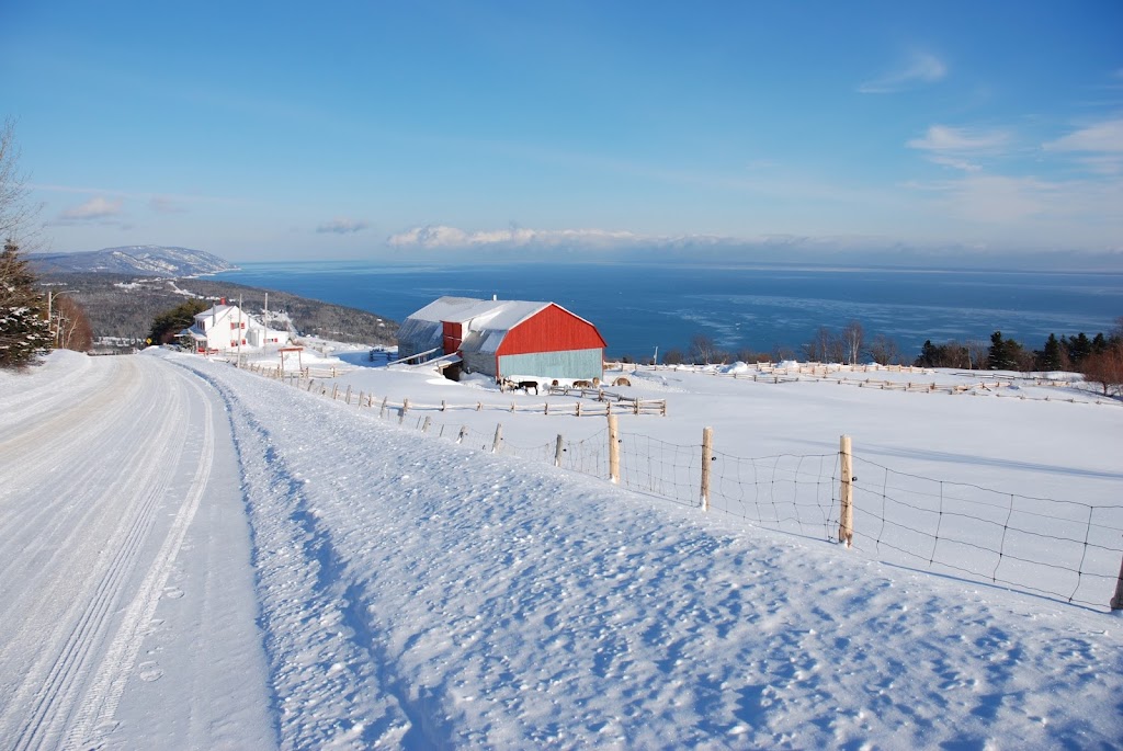 Ferme de l’Âne du Saint-Laurent | 975 Chem. de Port au Persil, Saint-Siméon, QC G0T 1X0, Canada | Phone: (418) 638-1264