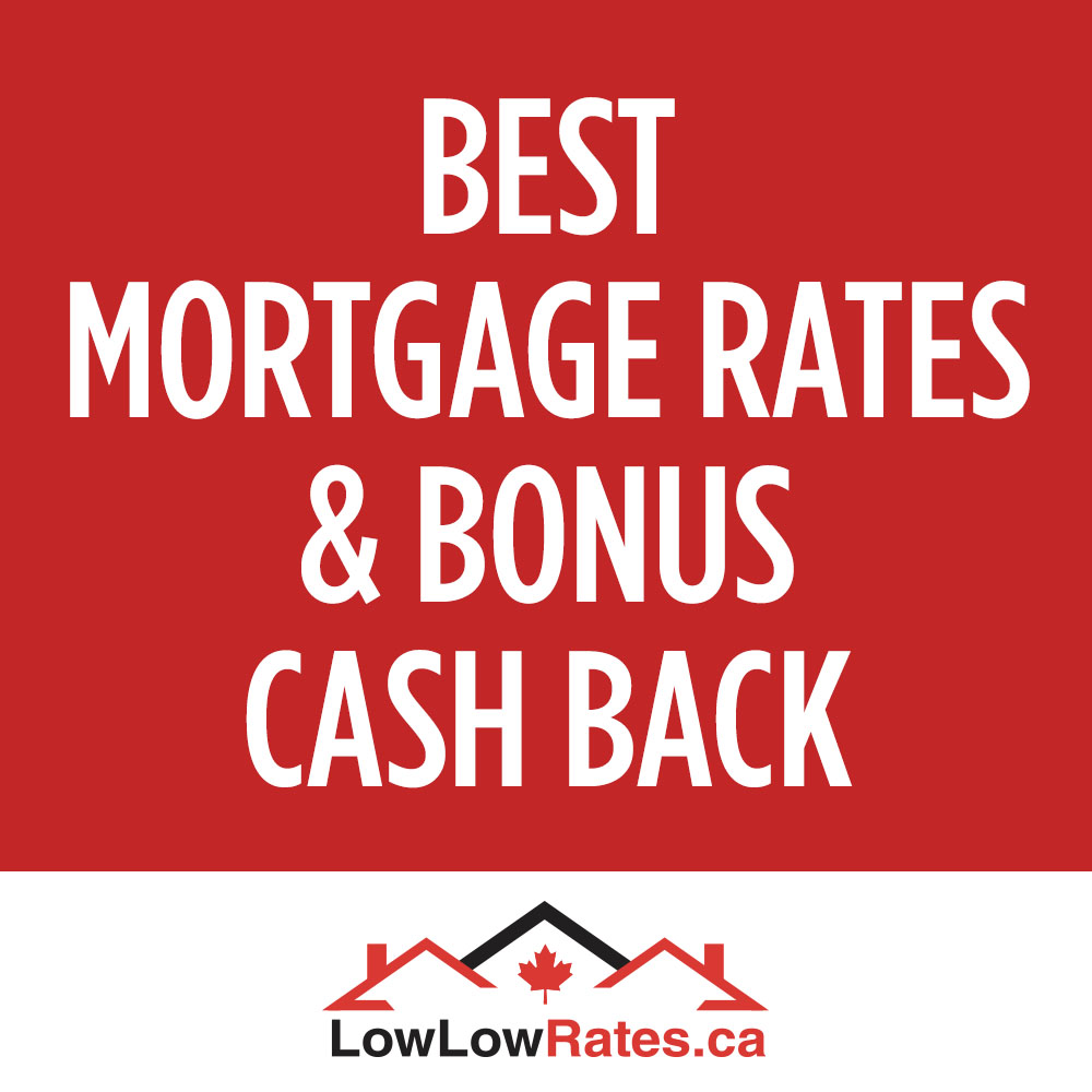 LowLowRates.ca | 38 Francesca Ct, Woodbridge, ON L4L 9L2, Canada | Phone: (416) 524-7471