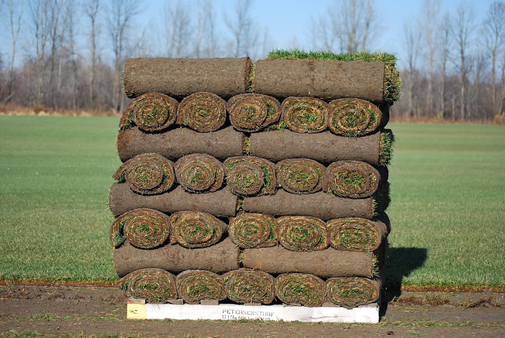 Petersens Turf Farms | 2381 Manotick Station Rd, Osgoode, ON K0A 2W0, Canada | Phone: (613) 821-2863