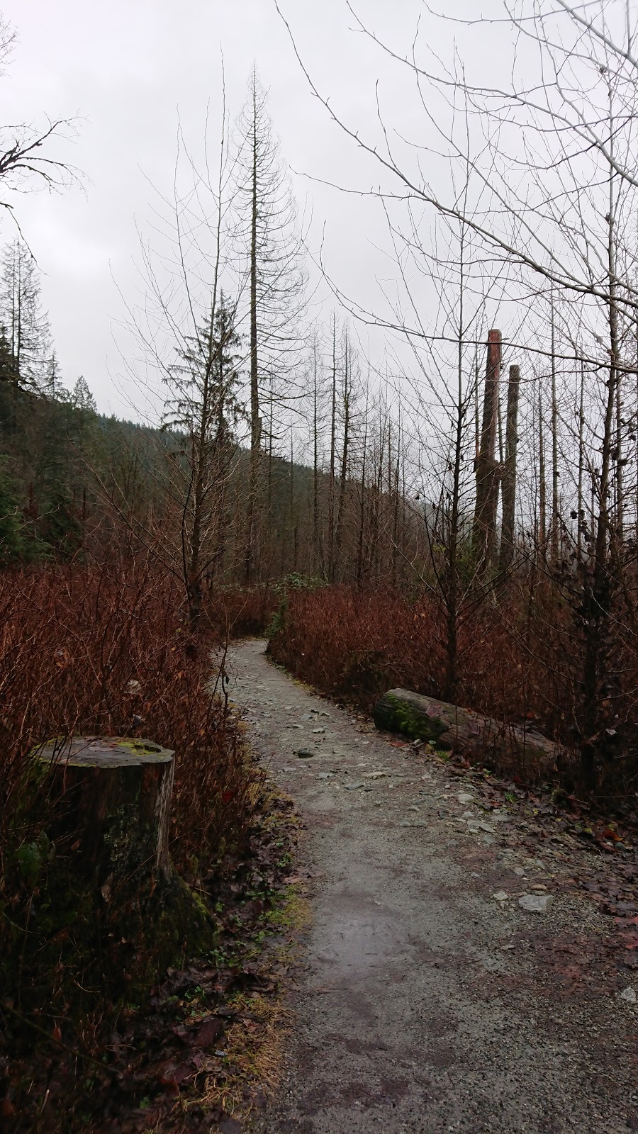 Horseshoe Trail | Horseshoe Trail, Anmore, BC V3H 4Y7, Canada