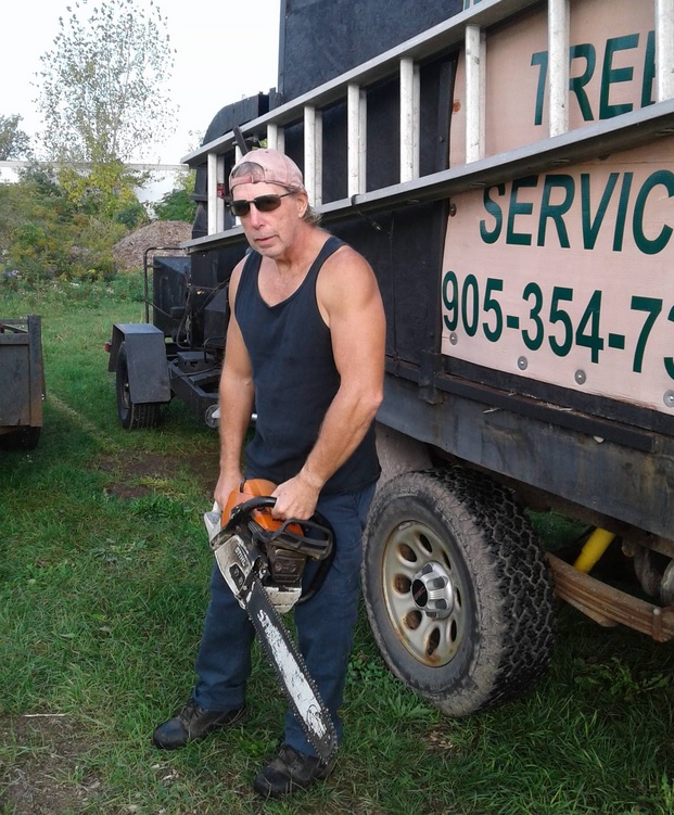 Mapleview Tree Service | 4505 Baker Rd, Niagara Falls, ON L2H 1Y5, Canada | Phone: (905) 354-7375