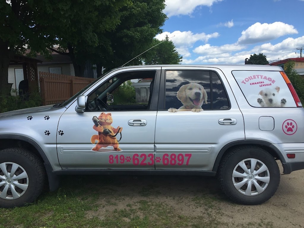 Salon de Beauté pour Chien & Chat | 1051 Bd Albiny Paquette, Mont-Laurier, QC J9L 1M4, Canada | Phone: (819) 623-6897