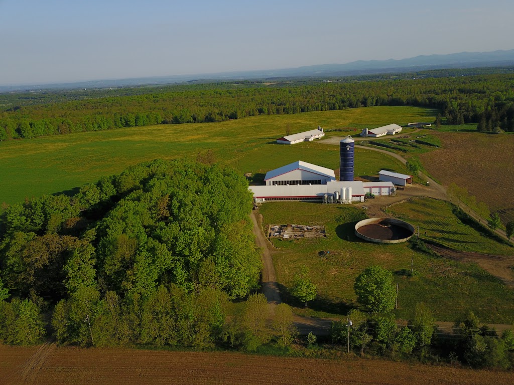 Ranch Jordan Hill | 475 Chem. Jordan Hill, Cookshire-Eaton, QC J0B 1M0, Canada | Phone: (819) 993-3220